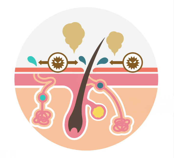 Sản phẩm làm đẹp từ đại dương OMEGA Serum