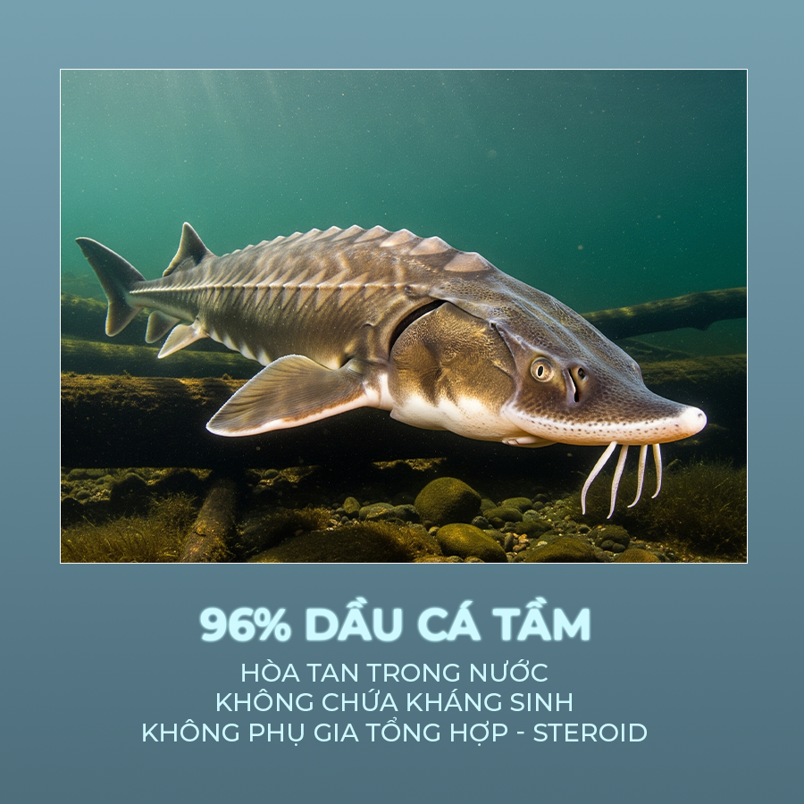 Sturgeon Bio – Giải Pháp Chăm Sóc Da Từ Đại Dương