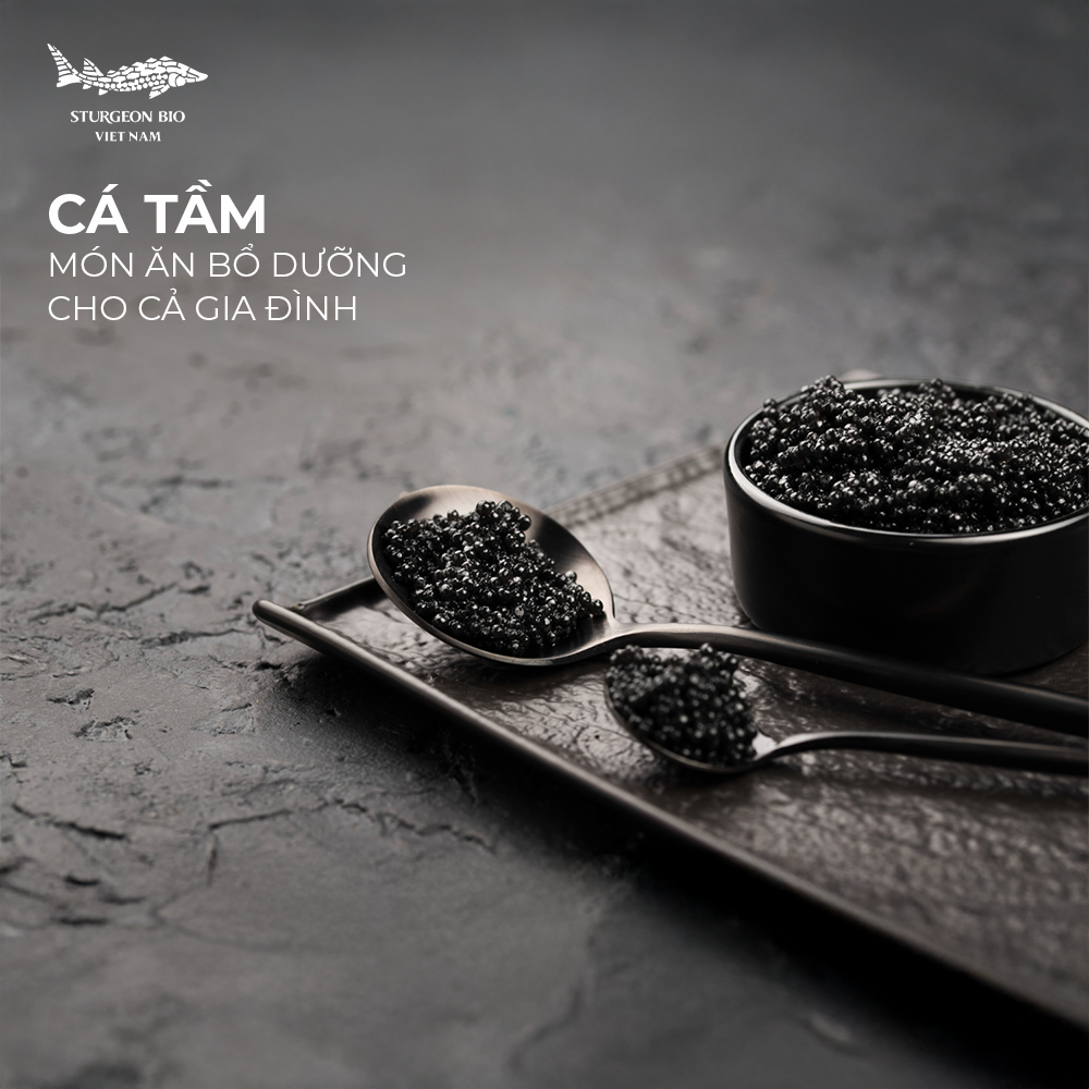 Cá tầm - món ăn bổ dưỡng và cao cấp cho cả gia đình